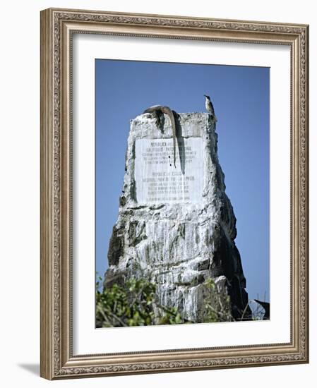 Marine Iguana and Galapagos Mockingbird Atop a Monument, Galapagos Islands, Ecuador-Charles Sleicher-Framed Photographic Print