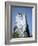 Marine Iguana and Galapagos Mockingbird Atop a Monument, Galapagos Islands, Ecuador-Charles Sleicher-Framed Photographic Print