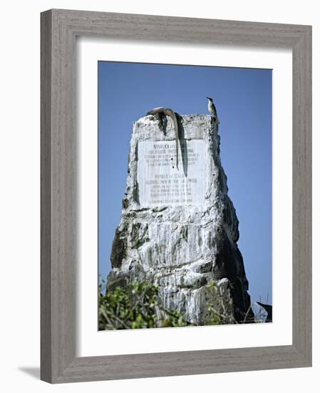 Marine Iguana and Galapagos Mockingbird Atop a Monument, Galapagos Islands, Ecuador-Charles Sleicher-Framed Photographic Print