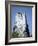 Marine Iguana and Galapagos Mockingbird Atop a Monument, Galapagos Islands, Ecuador-Charles Sleicher-Framed Photographic Print