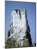 Marine Iguana and Galapagos Mockingbird Atop a Monument, Galapagos Islands, Ecuador-Charles Sleicher-Mounted Photographic Print