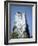 Marine Iguana and Galapagos Mockingbird Atop a Monument, Galapagos Islands, Ecuador-Charles Sleicher-Framed Photographic Print