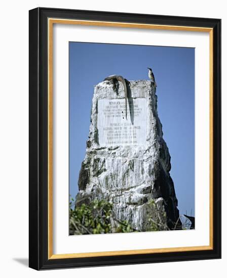 Marine Iguana and Galapagos Mockingbird Atop a Monument, Galapagos Islands, Ecuador-Charles Sleicher-Framed Photographic Print