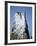 Marine Iguana and Galapagos Mockingbird Atop a Monument, Galapagos Islands, Ecuador-Charles Sleicher-Framed Photographic Print