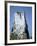 Marine Iguana and Galapagos Mockingbird Atop a Monument, Galapagos Islands, Ecuador-Charles Sleicher-Framed Photographic Print