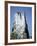 Marine Iguana and Galapagos Mockingbird Atop a Monument, Galapagos Islands, Ecuador-Charles Sleicher-Framed Photographic Print