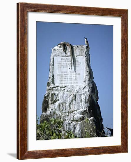 Marine Iguana and Galapagos Mockingbird Atop a Monument, Galapagos Islands, Ecuador-Charles Sleicher-Framed Photographic Print