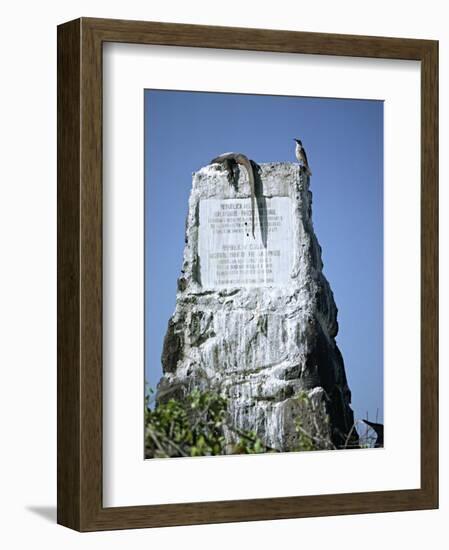 Marine Iguana and Galapagos Mockingbird Atop a Monument, Galapagos Islands, Ecuador-Charles Sleicher-Framed Photographic Print