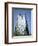 Marine Iguana and Galapagos Mockingbird Atop a Monument, Galapagos Islands, Ecuador-Charles Sleicher-Framed Photographic Print