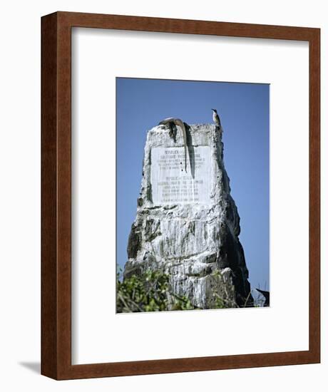 Marine Iguana and Galapagos Mockingbird Atop a Monument, Galapagos Islands, Ecuador-Charles Sleicher-Framed Photographic Print