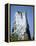 Marine Iguana and Galapagos Mockingbird Atop a Monument, Galapagos Islands, Ecuador-Charles Sleicher-Framed Premier Image Canvas