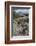 Marine Iguana, Fernandina Island, Galapagos Islands, Ecuador-Pete Oxford-Framed Photographic Print