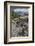 Marine Iguana, Fernandina Island, Galapagos Islands, Ecuador-Pete Oxford-Framed Photographic Print