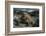 Marine Iguana, Fernandina Island, Galapagos Islands, Ecuador-Pete Oxford-Framed Photographic Print