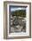 Marine Iguana, Fernandina Island, Galapagos Islands, Ecuador-Pete Oxford-Framed Photographic Print