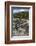 Marine Iguana, Fernandina Island, Galapagos Islands, Ecuador-Pete Oxford-Framed Photographic Print