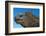 Marine Iguana, Galapagos Islands, Ecuador-Art Wolfe-Framed Photographic Print