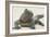 Marine Iguana in the Sand-DLILLC-Framed Photographic Print