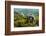 Marine Iguana Underwater, Fernandina Island, Galapagos, Ecuador-Pete Oxford-Framed Photographic Print