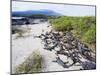 Marine Iguanas (Amblyrhynchus Cristatus), Isla Isabela, Galapagos Islands, Ecuador-Christian Kober-Mounted Photographic Print