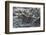 Marine Iguanas-DLILLC-Framed Photographic Print