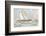 Marine III-Urbain Huchet-Framed Collectable Print