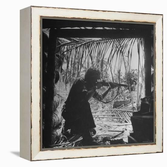 Marine in Action During Fight to Take Bougainville in Solomon Islands During WWII-William C^ Shrout-Framed Premier Image Canvas