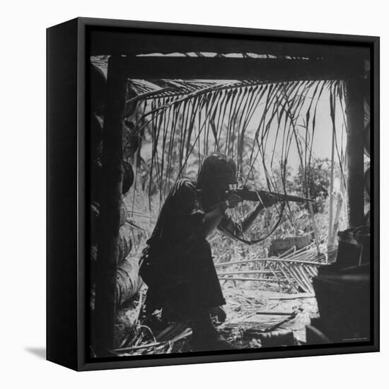 Marine in Action During Fight to Take Bougainville in Solomon Islands During WWII-William C^ Shrout-Framed Premier Image Canvas