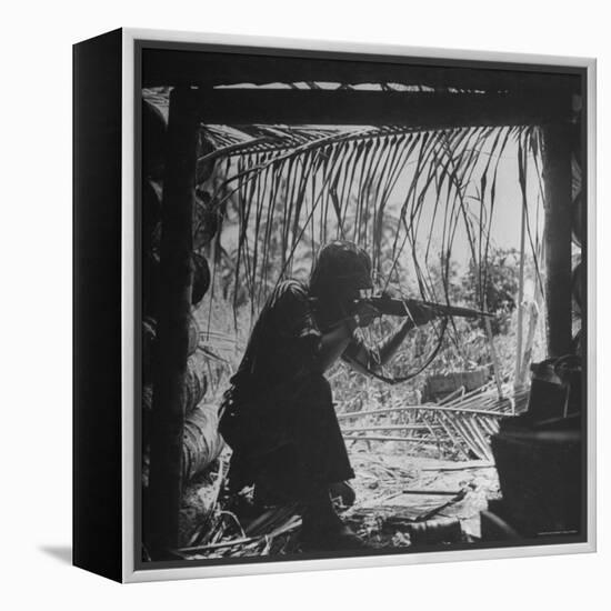 Marine in Action During Fight to Take Bougainville in Solomon Islands During WWII-William C^ Shrout-Framed Premier Image Canvas