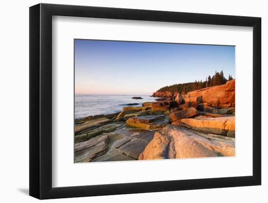 Marine Landscape in Acadia, Park Loop Road, Acadia National Park, Maine-Mircea Costina-Framed Photographic Print