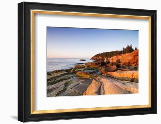 Marine Landscape in Acadia, Park Loop Road, Acadia National Park, Maine-Mircea Costina-Framed Photographic Print