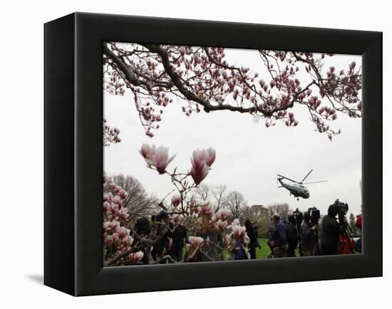 Marine One, with President Obama Aboard, Lifts Off from the South Lawn of the White House-null-Framed Premier Image Canvas