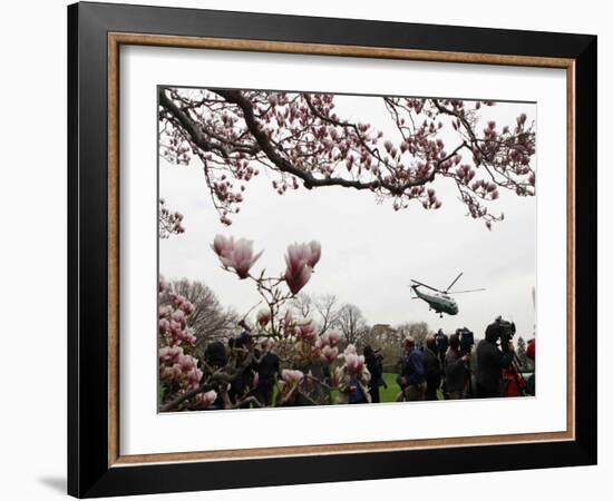 Marine One, with President Obama Aboard, Lifts Off from the South Lawn of the White House-null-Framed Photographic Print