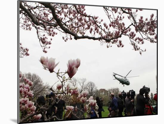 Marine One, with President Obama Aboard, Lifts Off from the South Lawn of the White House-null-Mounted Photographic Print