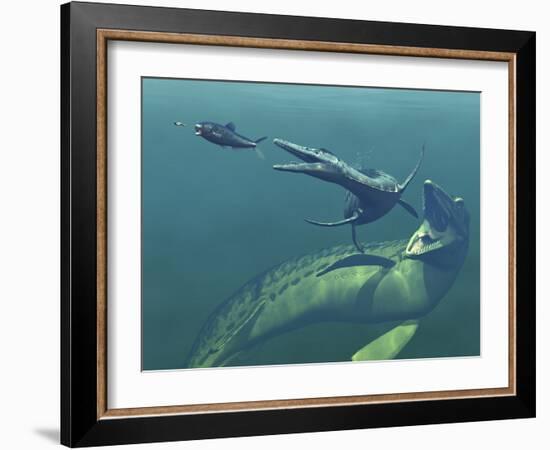 Marine Predators of the Cretaceous Period-Stocktrek Images-Framed Photographic Print