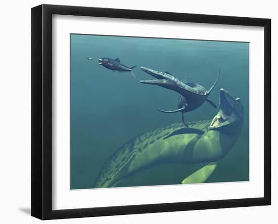 Marine Predators of the Cretaceous Period-Stocktrek Images-Framed Photographic Print