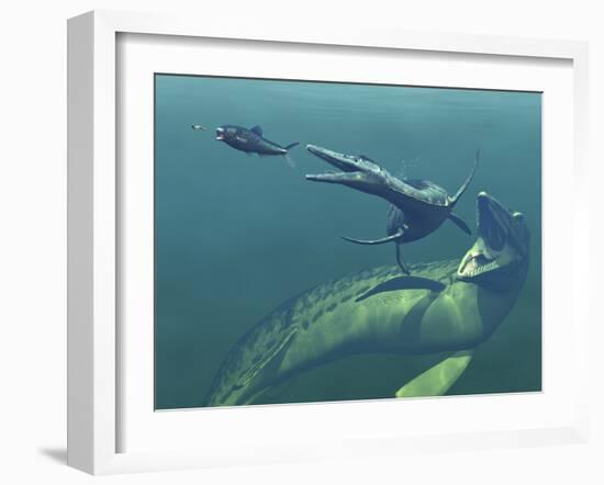 Marine Predators of the Cretaceous Period-Stocktrek Images-Framed Photographic Print