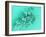 Marine Protozoa Shells, SEM-Peter Bond-Framed Photographic Print