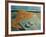 Marine Still Life with Scampi-Filippo De Pisis-Framed Giclee Print