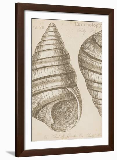 Marine Studies III-Maria Mendez-Framed Giclee Print