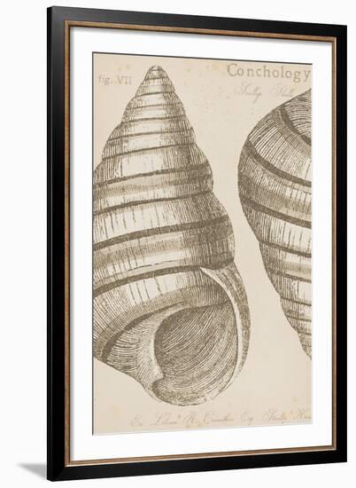 Marine Studies III-Maria Mendez-Framed Giclee Print