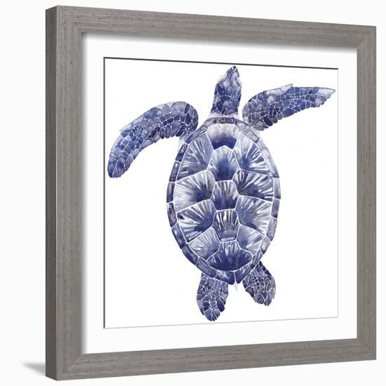 Marine Turtle II-Grace Popp-Framed Art Print