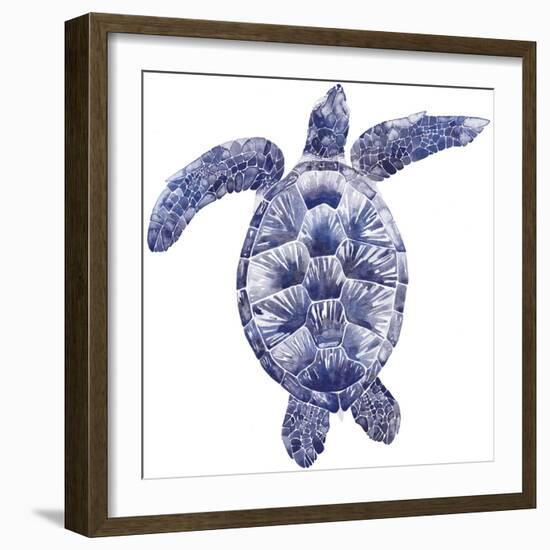 Marine Turtle II-Grace Popp-Framed Art Print