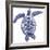 Marine Turtle II-Grace Popp-Framed Art Print