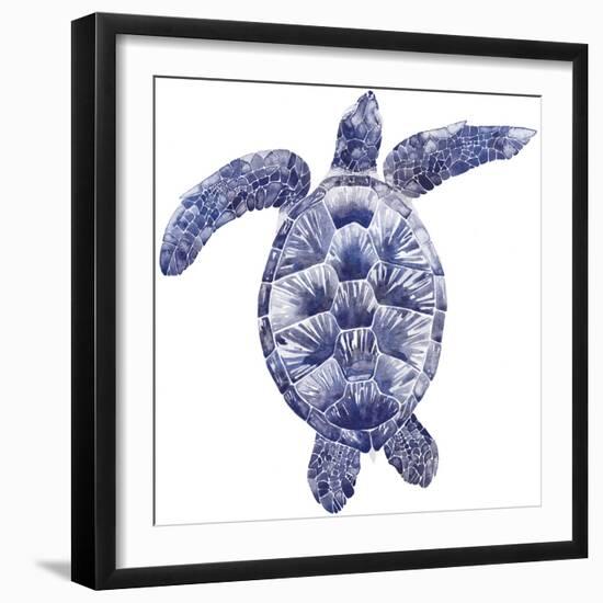 Marine Turtle II-Grace Popp-Framed Art Print