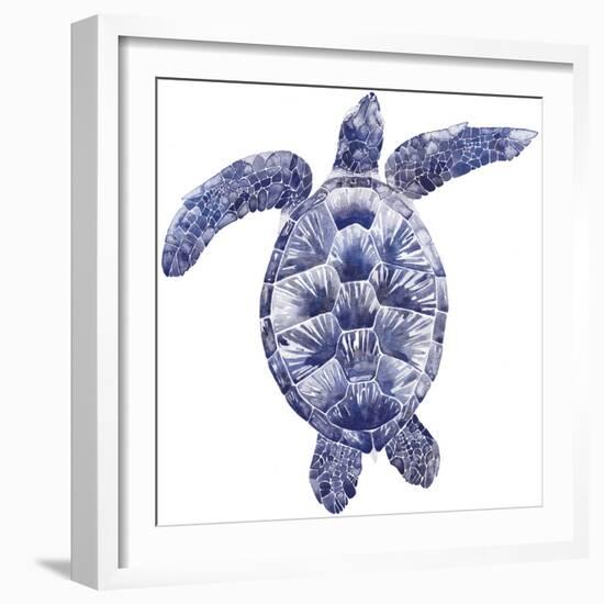 Marine Turtle II-Grace Popp-Framed Art Print