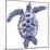 Marine Turtle II-Grace Popp-Mounted Art Print