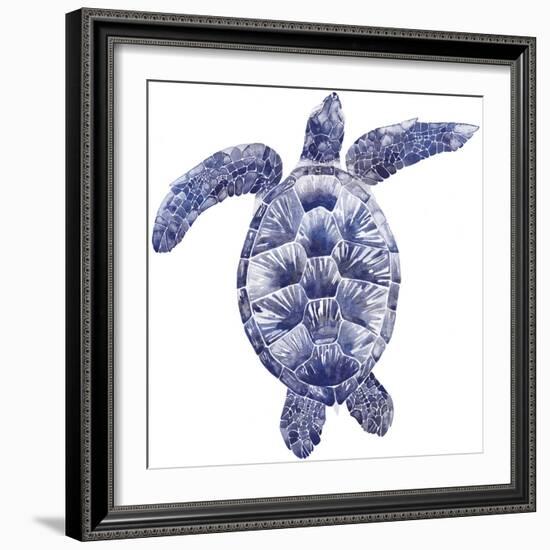 Marine Turtle II-Grace Popp-Framed Art Print