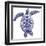 Marine Turtle II-Grace Popp-Framed Art Print