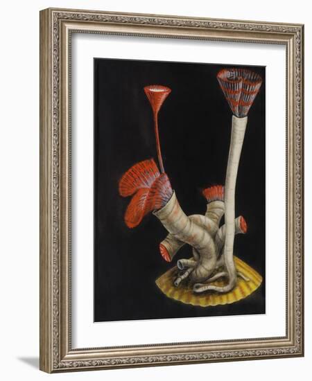 Marine Worms: Serpula-Philip Henry Gosse-Framed Giclee Print